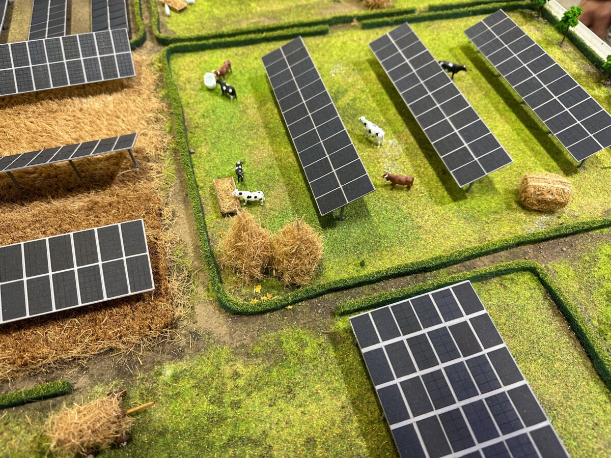 马来西亚科学家给“农光互补”起了套新“绰号”